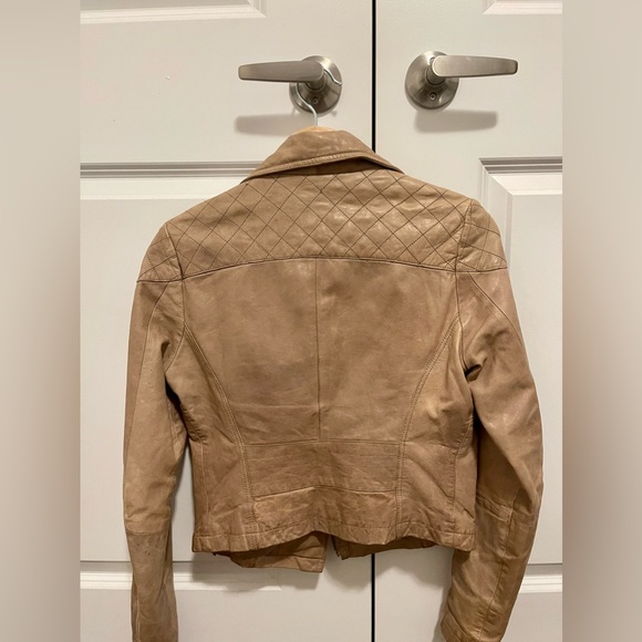 Miss Selfridge Cream Stud Leather Jacket ~ Real Leather S - Picture 3 of 5
